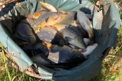 IMG-20210908-WA0002