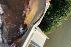 IMG-20210908-WA0004